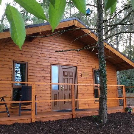 Butterfly cabin Limerick Junction Eksteriør bilde
