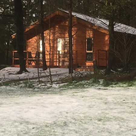 Butterfly cabin Limerick Junction Eksteriør bilde