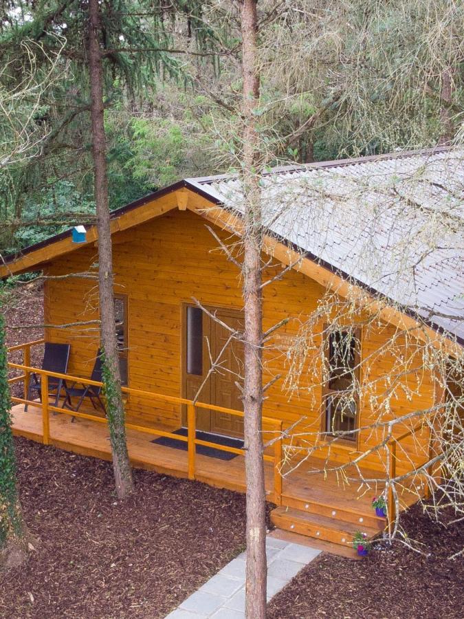 Butterfly cabin Limerick Junction Eksteriør bilde