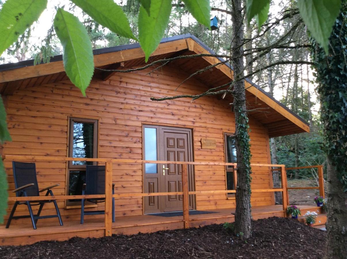 Butterfly cabin Limerick Junction Eksteriør bilde
