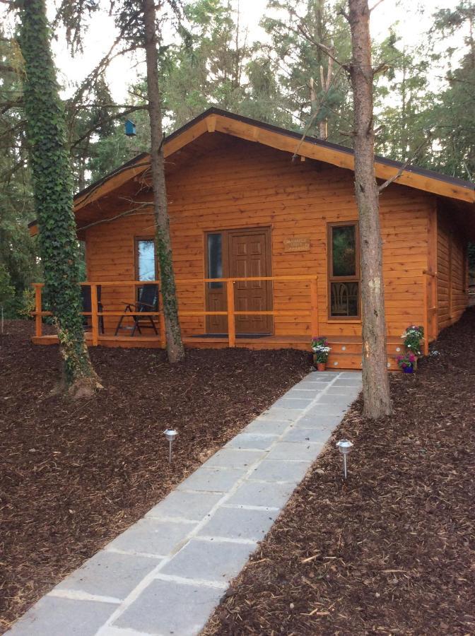 Butterfly cabin Limerick Junction Eksteriør bilde