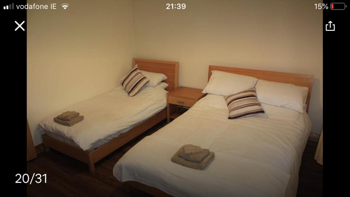 Butterfly cabin Limerick Junction Eksteriør bilde
