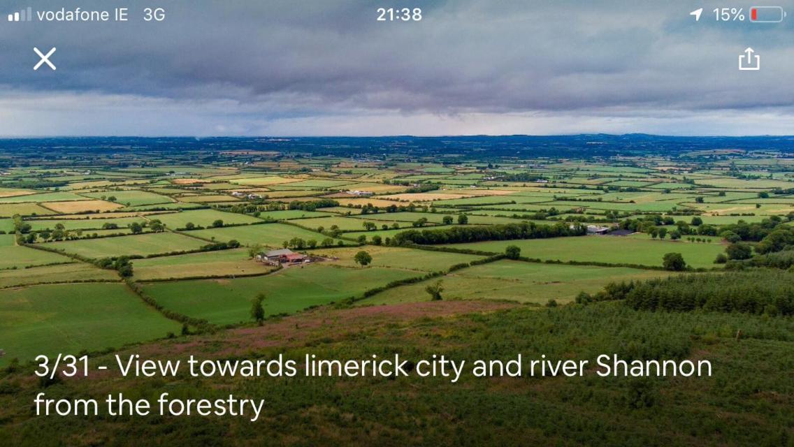 Butterfly cabin Limerick Junction Eksteriør bilde
