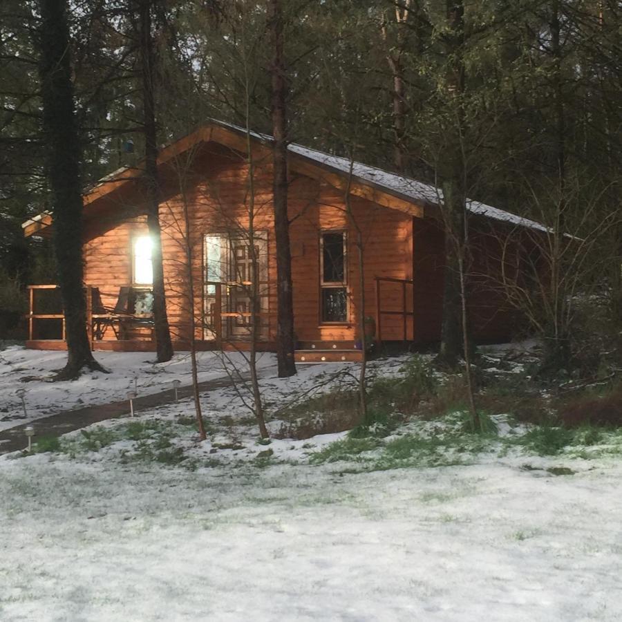 Butterfly cabin Limerick Junction Eksteriør bilde